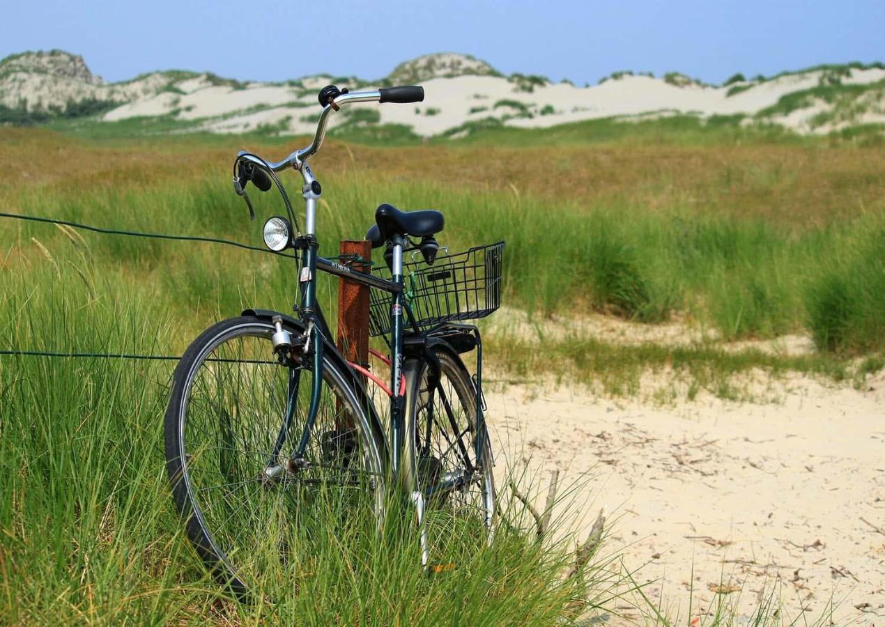 Cottage 44 - Free Parking! Zandvoort Dış mekan fotoğraf